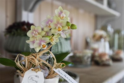 Wernsdorfer Floristin bietet neuen Service: Blumen und Strue (fast) rund  um die Uhr