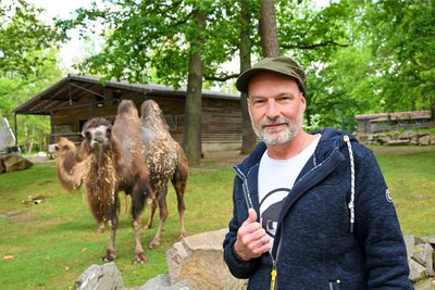 Thomas Paarmann, Vorsitzender von Verein der Tierparkfreunde vor den Kamelen in ihren neuen Gehegen. Die offenen Gehege sollen neue Begegnungsorte zwischen den Besuchern und den Tieren schaffen.