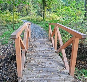 Die jüngst sanierte Brücke befindet sich direkt am geplanten Bestattungswald in Neukirchen. 
