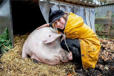 Landwirtin Maren Osterbuhr mit der Sau Rosalie. 