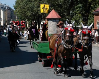 Pferdewagen und Reiter waren unverzichtbar beim großen Festumzug zu Auerbachs 725-Jahr-Feier 2007 (im Bild). Bei der Vorbereitung gab es allerdings auch einen Unfall. Alles Weitere verlief reibungslos.