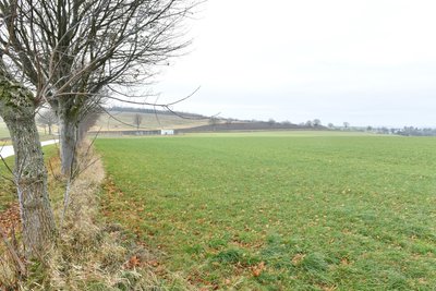 Hier soll der geplante Solarpark Zethau entstehen. Laut Bürgermeister Michael Wiezorek laufen derzeit die Gespräche von Planer und Projektleiter mit dem Stromnetzbetreiber wegen eines optimalen Einspeisepunktes.