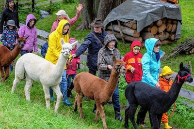 Egal, welche Kapriolen das Wetter macht: Romy Biedermann (weiße Mütze) und ihr Mann Edgar (mit Hut) laufen immer gern mit ihren Vierbeinern. Und stecken andere mit dieser Leidenschaft auch an Regentagen an. 