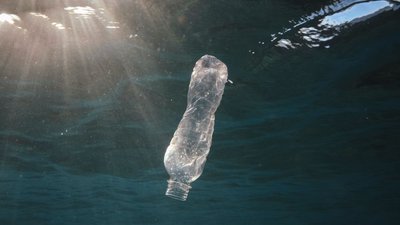 Eine Flasche treibt im Meer - wie hier vor Ägypten. 