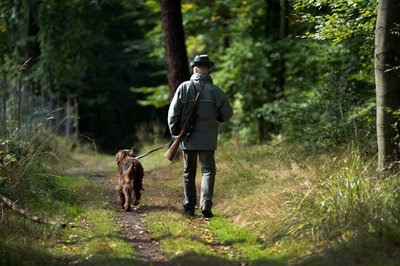 Rund 10.500 Jäger sorgen in Sachsen für die waid- und tierschutzgerechte Jagd des heimischen Wildes. 