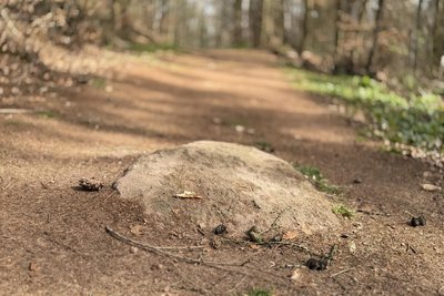 Zeitzeuge für den frühen Gebrauch von Porphyrtuff: Mühlstein mitten im Weg.