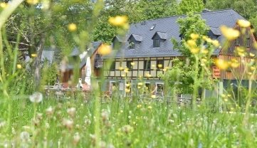 So schönt blüht es in der Bergstraße 10 in Holzhau. 