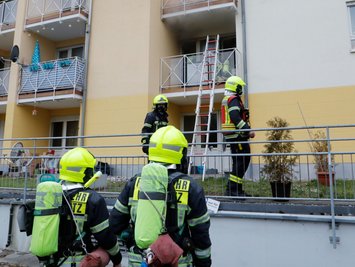 Die Feuerwehr konnte den Brand vor Ort löschen.