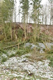 Am Ortseingang Weißenborn waren in Richtung Lichtenberg mehrere Bäume in die Mulde gestürzt. 