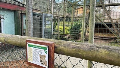 Das Gehege von Leopardin Lila im Auer Zoo ist verwaist. 