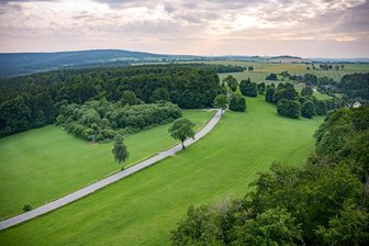 35,5 Hektar groß: Nächste PV-Anlage im Erzgebirge geplant - Unter anderem in diesem Bereich bei Grundau sollen links und rechts der B 171 Solarpanels errichtet werden.