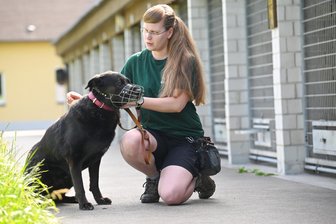 35 Jahre Tierschutzverein: „Ohne uns gäbe es in Chemnitz Straßenhunde wie in Osteuropa“ - Tierpflegerin Vanessa Haasper mit Hund Veit, der schon seit über zehn Jahren im Tierheim lebt.