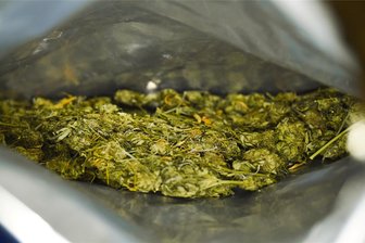 35 Kilo Drogen: Wie ein irakischer Flüchtling in Chemnitz zum Marihuana-Händler wurde - 35 Kilo Marihuana hat der junge Iraker in Chemnitz für den Handel deponiert. Vor Gericht gibt er sich reumütig.
