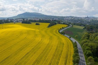 35-Millionen-Projekt im Erzgebirge: Solarpark mit mehr als 100.000 Modulen geplant - An der B 95 zwischen Wiesa und Annaberg-Buchholz (im Hintergrund) soll links ein neuer Solarpark entstehen.