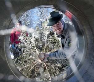 Der selbstgeschlagene Weihnachtsbaum ist seit Jahren Tradition in vielen Chemnitzer Haushalten. Im Revier Grüna von Förster Ulrich Göthel gibt es unter den Hochspannungsleitungen seit Jahren die Möglichkeit den entsprechenden Wunschbaum auszuwählen.
