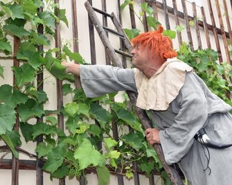 Bauer Benedix alias Rolf Pönicke sorgt sich um die Rebstöcke am Gemäuer von Schloss Lichtenwalde. 