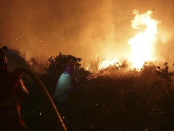 Die Waldbrände im August überforderten Portugals Rettungskräfte. Künftig springt die EU im Notfall den Mitgliedsstaaten bei.