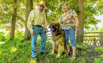 Gert und Christa Lindner mit ihrem vierjährigen Leonberger Sultan. Der Rüde hat einem hilflosen 85-jährigen Mann zu Pfingsten das Leben gerettet. 
