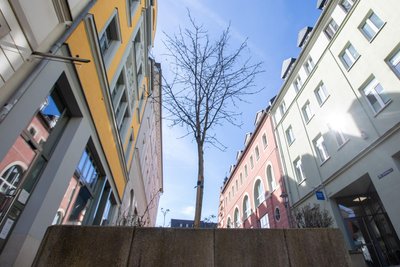 Am Oberen Steinweg ließ die Stadtverwaltung die Kübel neu bepflanzen.