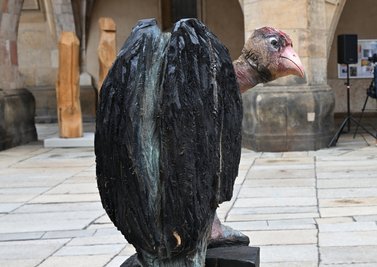 Die Figur "Vogel des Jahres" an ihrem alten Standort an der Jakobikirche. 