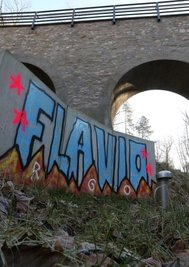 Im Bereich der neuen Hirschgrundbrücke kam es zu dieser Schmiererei. 