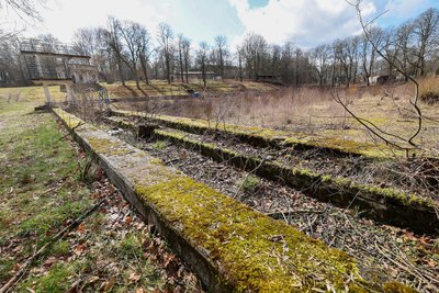 Durch Arbeitseinsätze des Fördervereins und zuletzt durch eine Fachfirma wurden etliche Bäume und Sträucher im alten Badgelände entfernt. Doch ein echter Baubeginn ist nicht in Sicht.