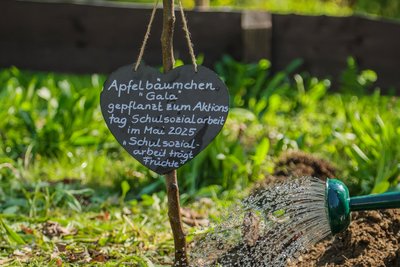 Bei einer Aktion zur Schulsozialarbeit wurde ein Apfelbaum auf dem Schulgelände gepflanzt.