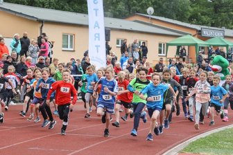350 Läufer im Waldstadion am Start -