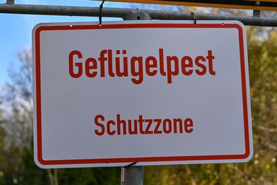 Der Tierpark bleibt am Donnerstag geschlossen. Es gibt einen Vogelgrippeverdacht.