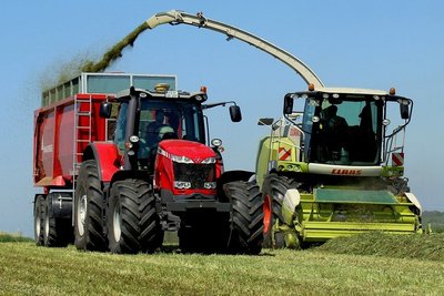 Der Häcksler nimmt Gras auf, das einen Tag zuvor gemäht wurde. Zu diesem Zeitpunkt waren auf dem Grünland versteckte Kitze längst entdeckt und in Sicherheit gebracht worden. 