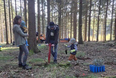 Familie Borrmann hat am Freitagnachmittag mit geholfen, kleine Weißtannen in den Landhainwald zu pflanzen.