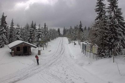 Ein Skiläufer am Sonntag auf der Kammloipe am Rastplatz Butterweg zwischen Carlsfeld und Johanngeorgenstadt.