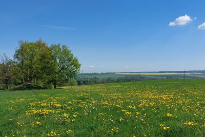 Eine Pilgerwanderung braucht eine Idee - und den passenden Weg, sagt Heike Strauss