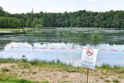Das Waldbad in Freiberg war im Frühsommer wegen wuchernder Schlingpflanzen für den Badebetrieb gesperrt.