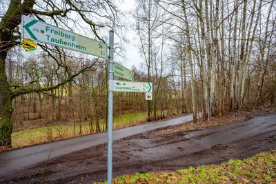 Der Tatort. Rechts hinter den Birken wartete der Geländewagen. Der Jogger kam von links. Der Geländewagen bog scharf in die Rechtskurve fuhr hinterher, überrollte den Mann und setzte noch einmal zurück.