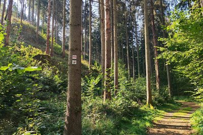 Dieser Weg im landschaftlich reizvollen Nymphental ist derzeit gesperrt.