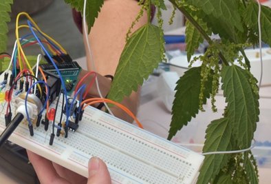 Die Technik für das Experiment hatten die Teilnehmer selbst hergestellt. Sie funktionierte.