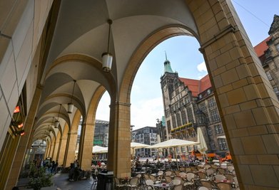 Der Platz zum Pflanzen von Bäumen ist auf dem unterirdisch verkabelten Neumarkt eng bemessen. Es gibt nur einen schmalen Korridor entlang der Galerie Roter Turm, der für Bäume Raum böte. 
