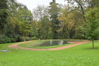 Der Teich im Stadtpark ist saniert und um gut 40 Prozent verkleinert worden.
