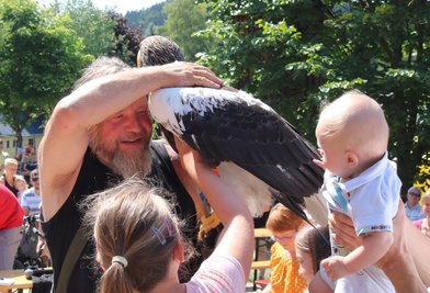 Kinder dürfen beim Tierparkfest den Riesenseeadler von Hans-Peter Schaaf streicheln. 