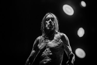 Gute alte Haut: Iggy Pop.   