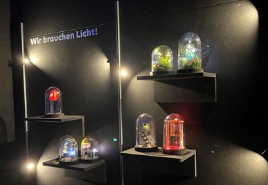 Weihnachtsstimmung im Darkroom