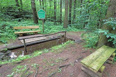 Noch in diesem Jahr soll das Kneippbad im Wald bei Sayda neu entstehen.