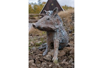 Eines von drei Bronze-Wildschweinen am Sauberg in Ehrenfriedersdorf, geschaffen von Carl Emanuel Wolff.