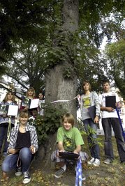 Baumpatenschaften 