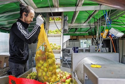 In der mobilen Mosterei in Mildenau ist Hochsaison. Kunden kommen aus ganz Sachsen, weil sie Saft aus ihren eigenen Früchten mitnehmen wollen. Im Bild: Philipp Förster, einer der drei Betreiber. 
