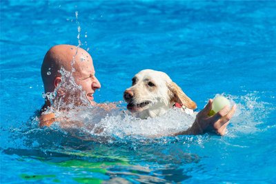 Tierischen Badespaß gibt es am 28. September im Freibad Penig. Dann dürfen auch Hunde planschen.