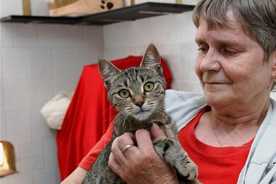 Zwischen 200 und 250 Fundtiere wie Katze Fabienne aus Annaberg - im Bild mit Monika Eger - werden jährlich im Tierheim "Neu-Amerika" versorgt. Zuständig dafür sind die Kommunen. Nun ringt der Betreiberverein darum, dass diese eine höhere Umlage zahlen. 