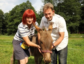 Dagmar Sommer vom Eselhof Pöhla und Jörg Herrmann mit der Eselstute Leila. Bald zieht sie zu ihrem Bräutigam.