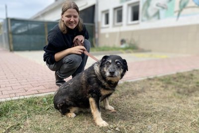 Die ehrenamtliche Helferin Johanna Schwenk und Langzeitbewohner Hund Mirko im Tierheim Kandelhof.